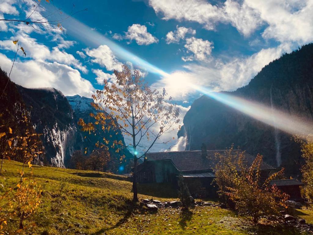 Chalet Baergstaeger Lauterbrunnen Dış mekan fotoğraf